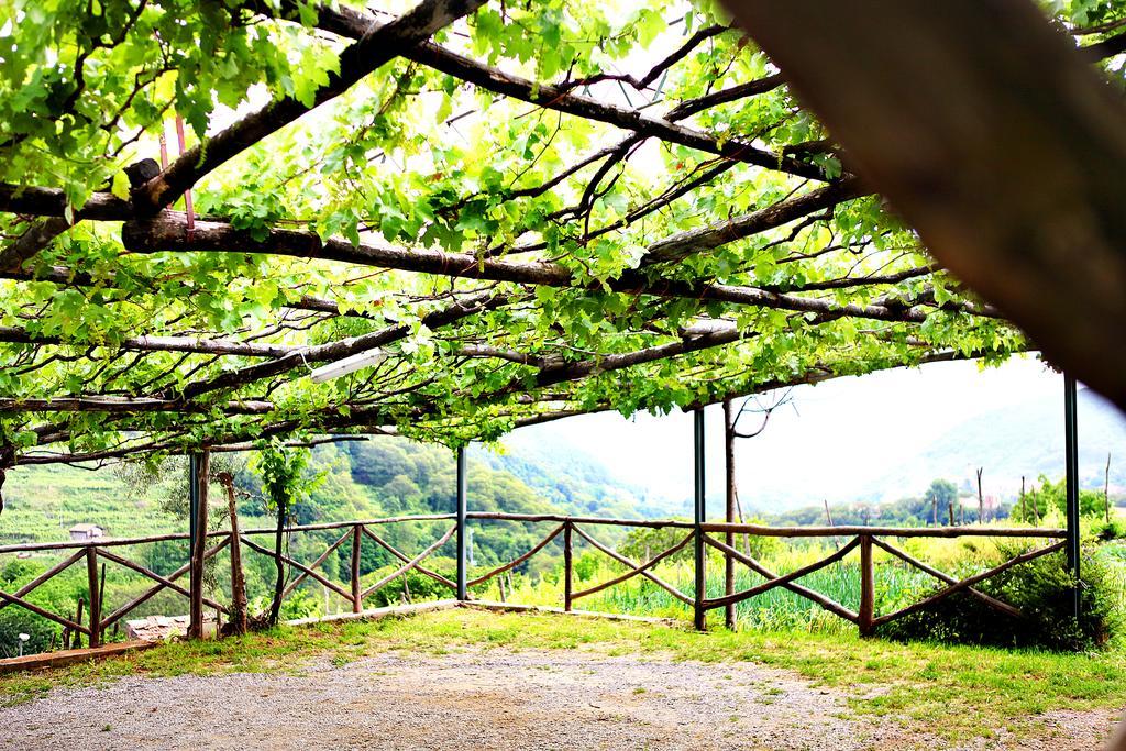 Il Raduno Villa Tramonti Bagian luar foto