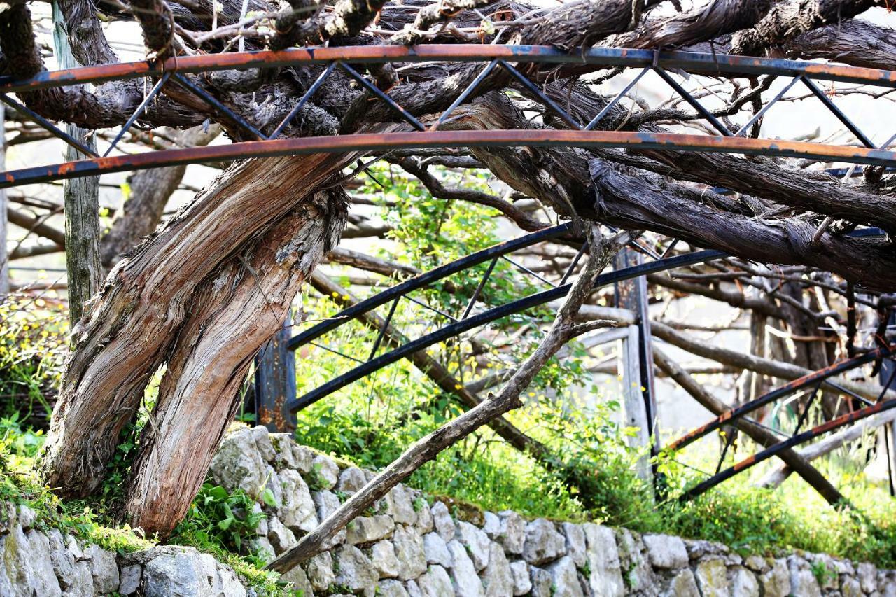 Il Raduno Villa Tramonti Bagian luar foto