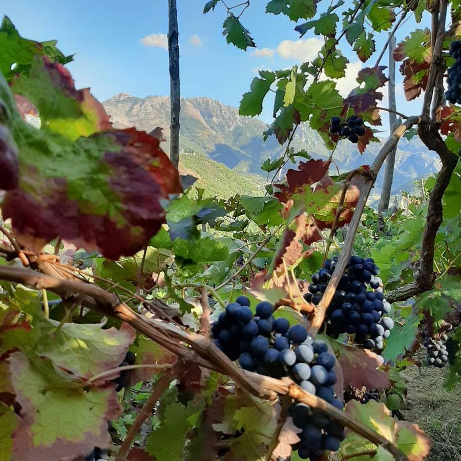 Il Raduno Villa Tramonti Bagian luar foto